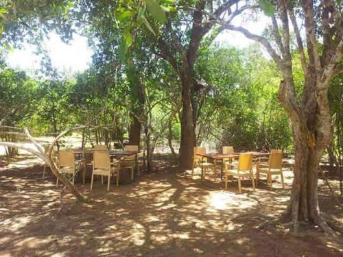 Палатупана: Rivosen Camp Yala Safari