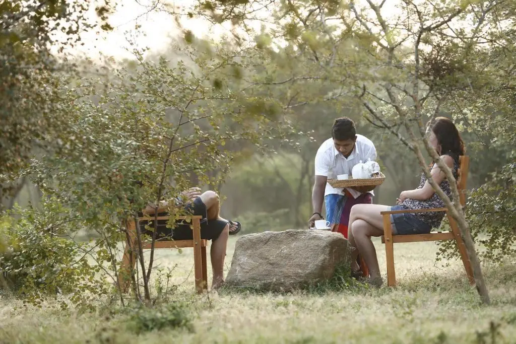 Палатупана: The Naturalist Safari Camp Yala
