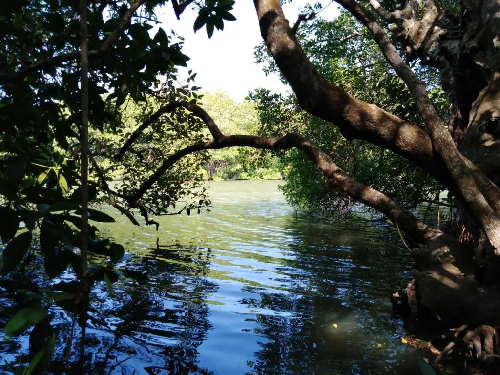 Villa De Lagoon View — фото 1