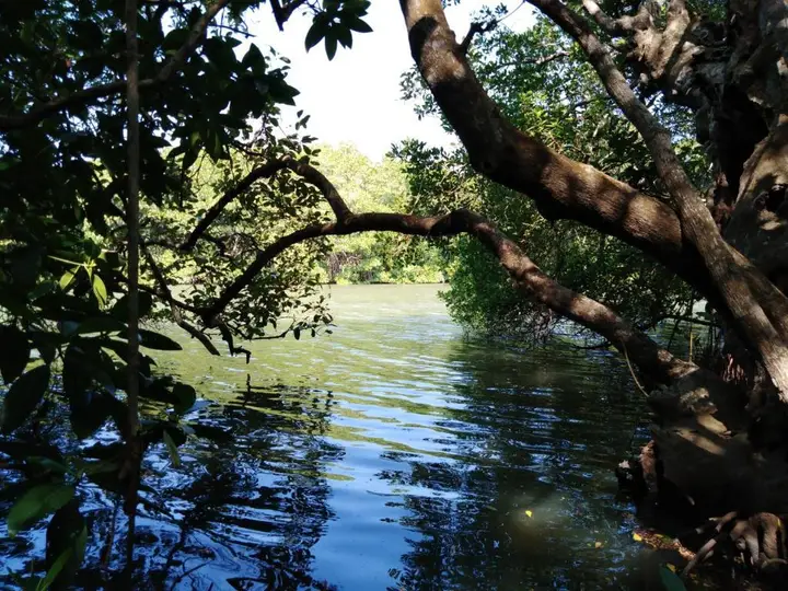 Мараколлия: Villa De Lagoon View