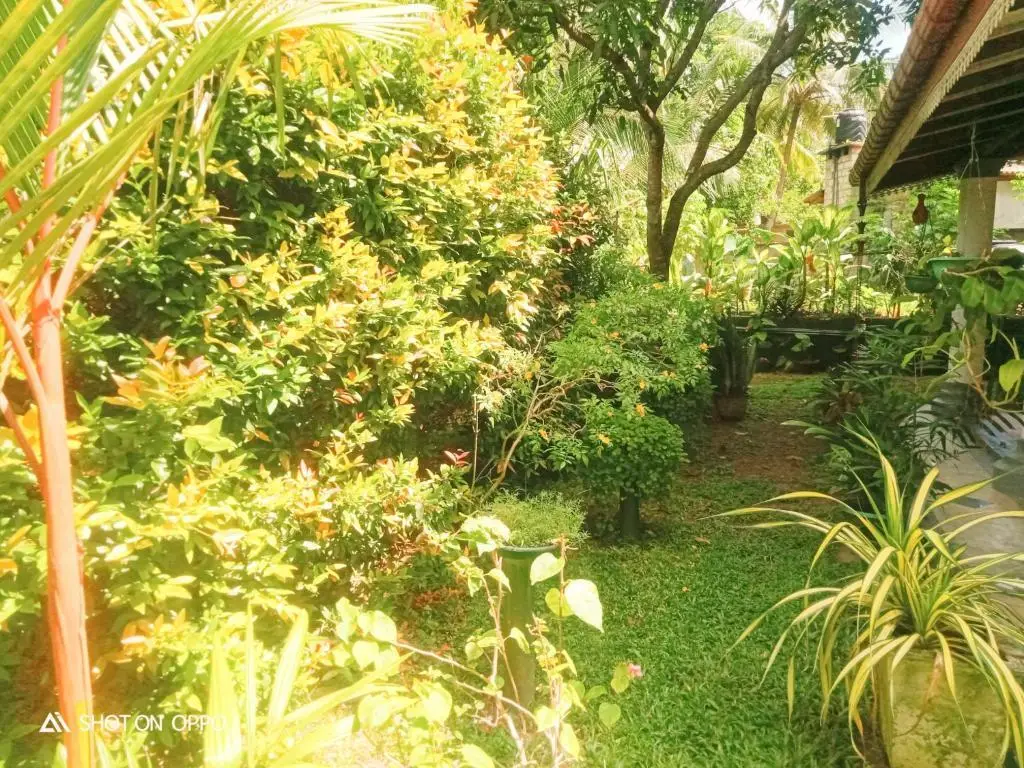 Ахангама: Villa La Serene