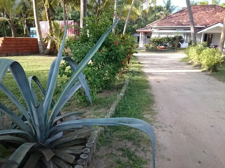 Ахангама: Sun and Surf Rest