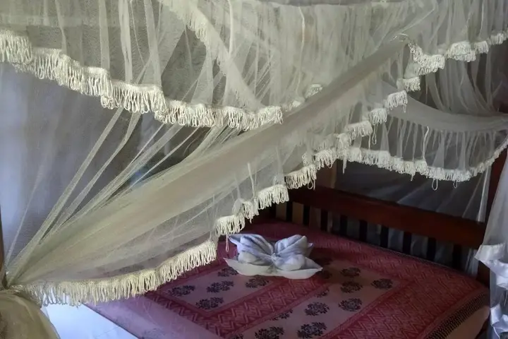 Ахангама: River island cabanas weligama