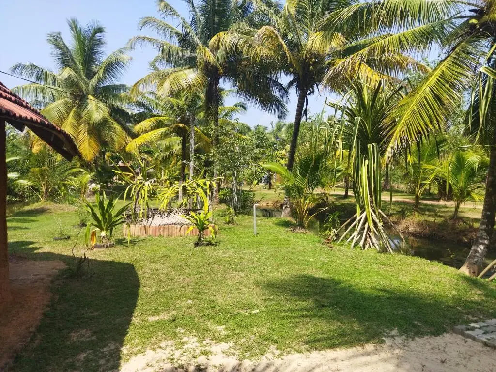 Ахангама: River island cabanas weligama