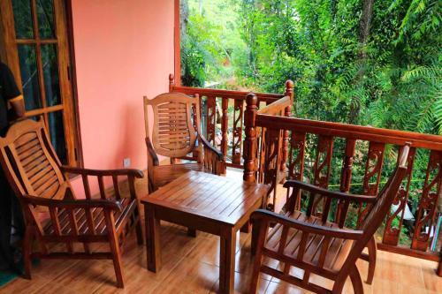 Элла: Yoho Tea Forest Lodge