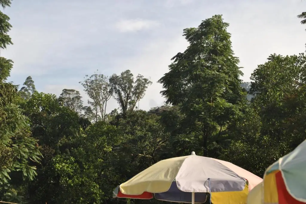 Наллатанния: Mountain Villa Adam's Peak