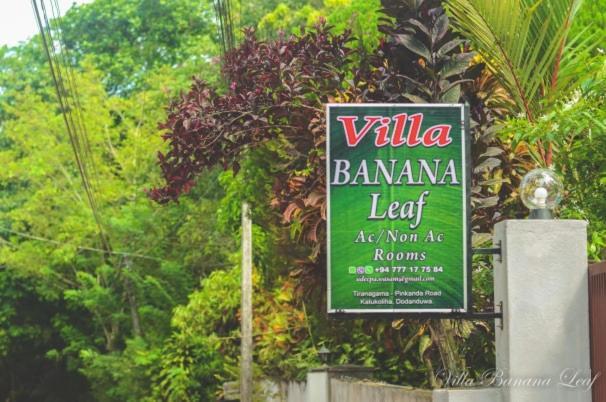 Хиккадува: Villa Banana Leaf