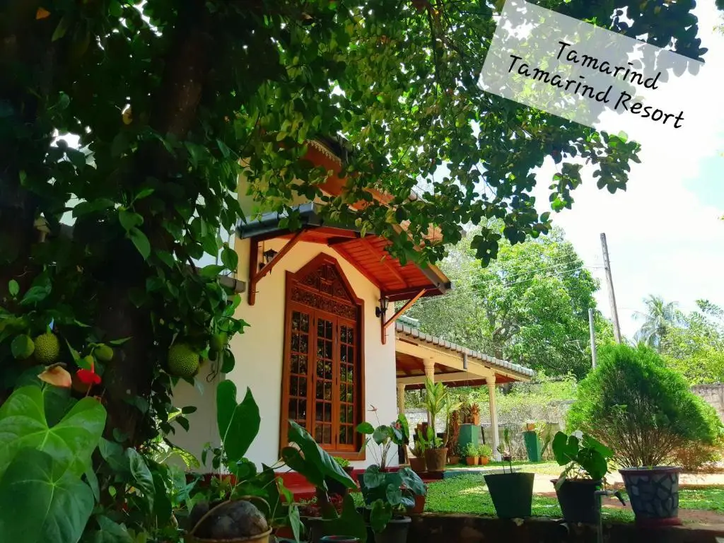 Анурадхапура: Tamarind Tamarind Resort