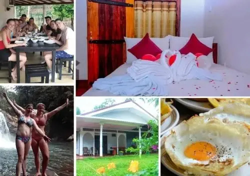 Поддана: Rainforest Holiday Inn