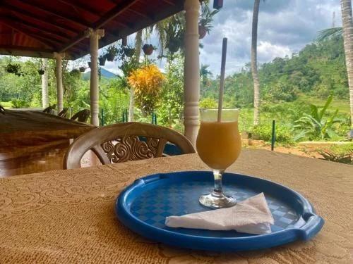 Поддана: Rainforest Holiday Inn
