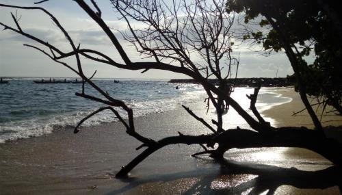 Додандува: Nimal`s Homestay