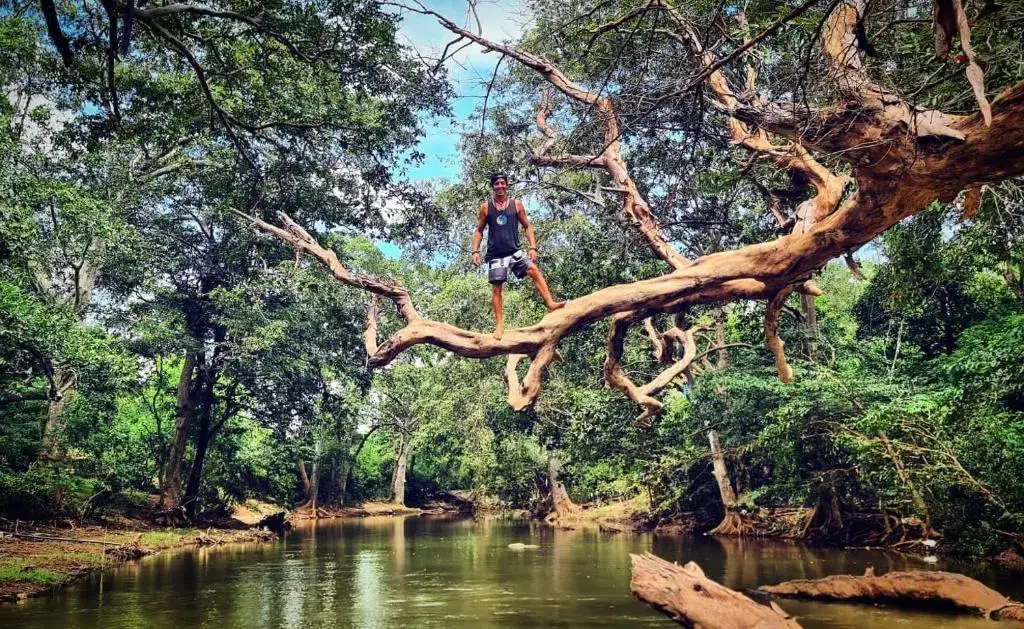 Катарагама: Jungle river humbhaha hostel