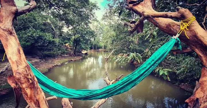 Катарагама: Jungle river humbhaha hostel