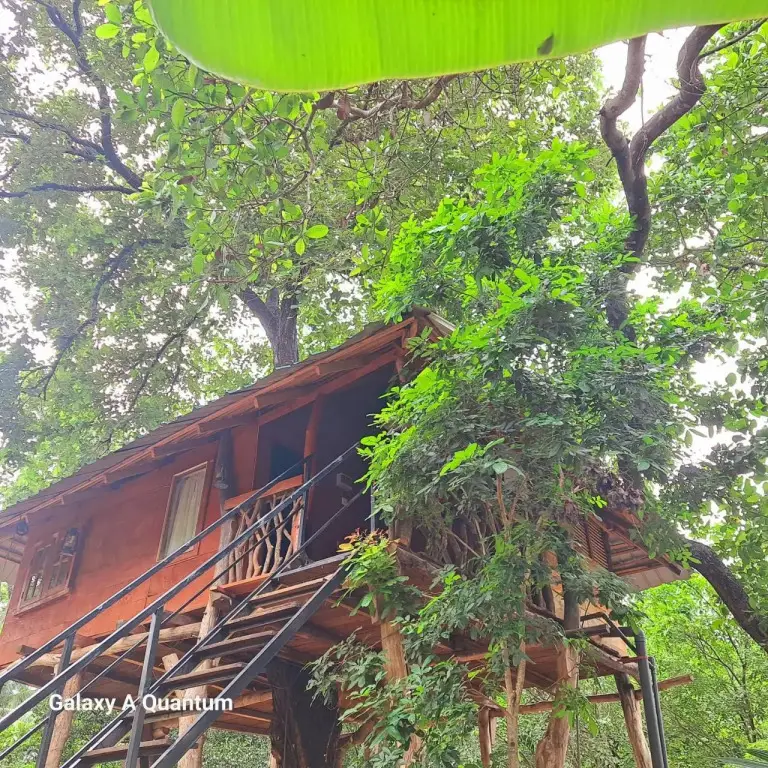 Дамбулла: Bed & Bicycle Hostel Dambulla