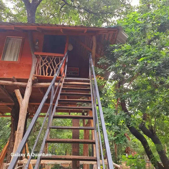 Дамбулла: Bed & Bicycle Hostel Dambulla