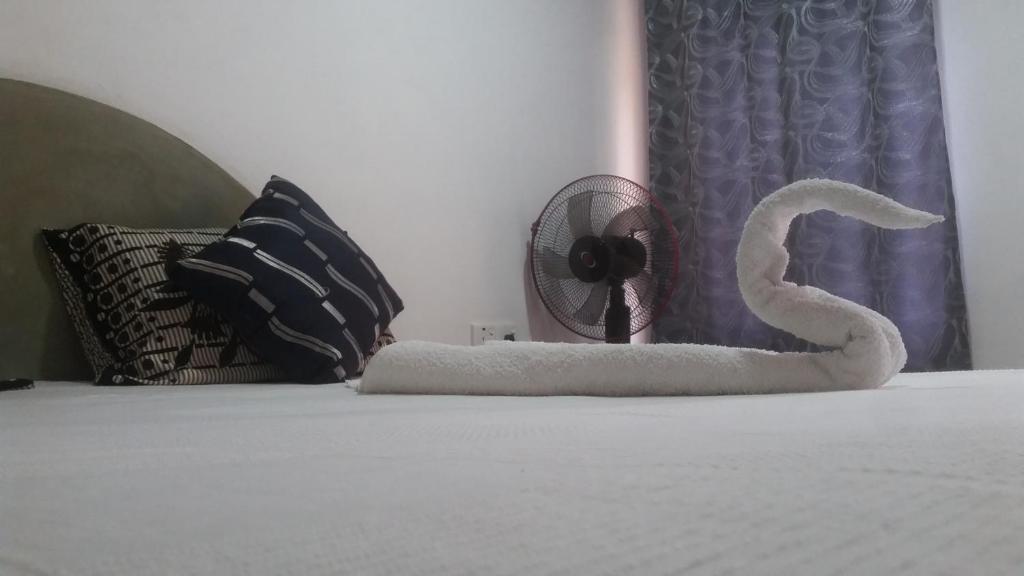 Хабарана: Angry birds homestay