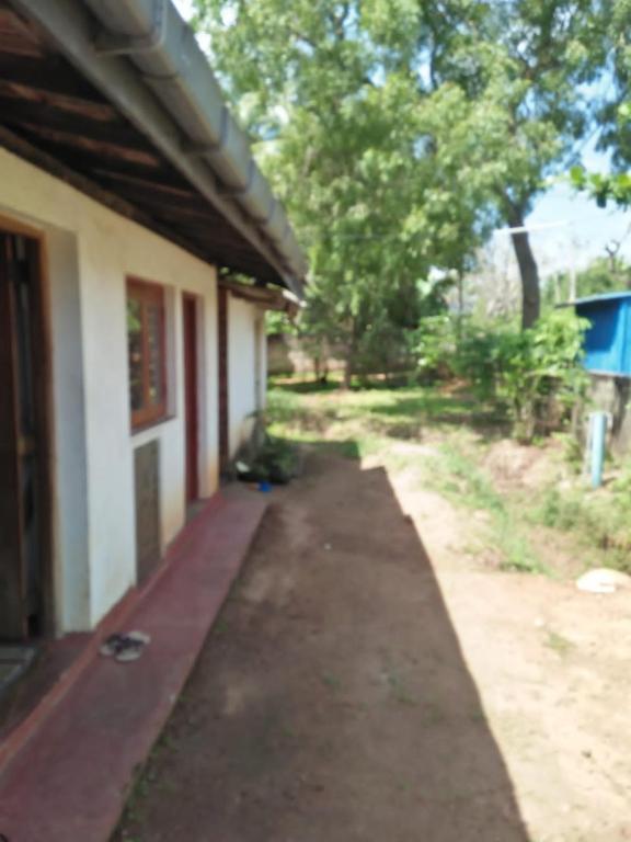 Анурадхапура: Family Guest House Anuradhapura