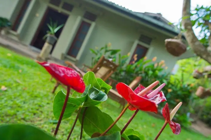 Мараколлия: Deniyawatta Bungalow