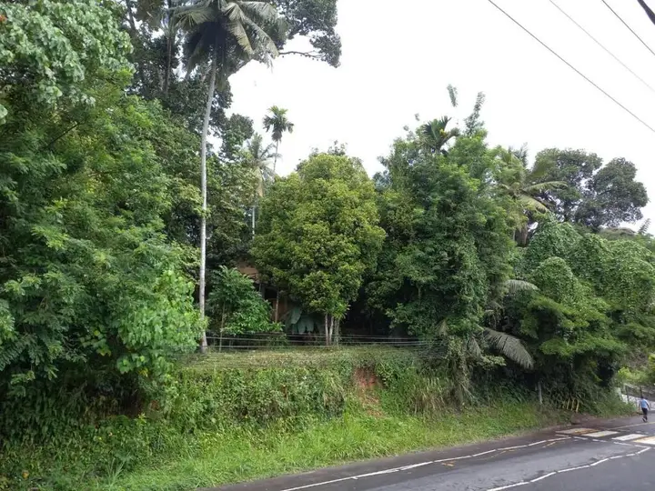Канди: Asiri Homestay
