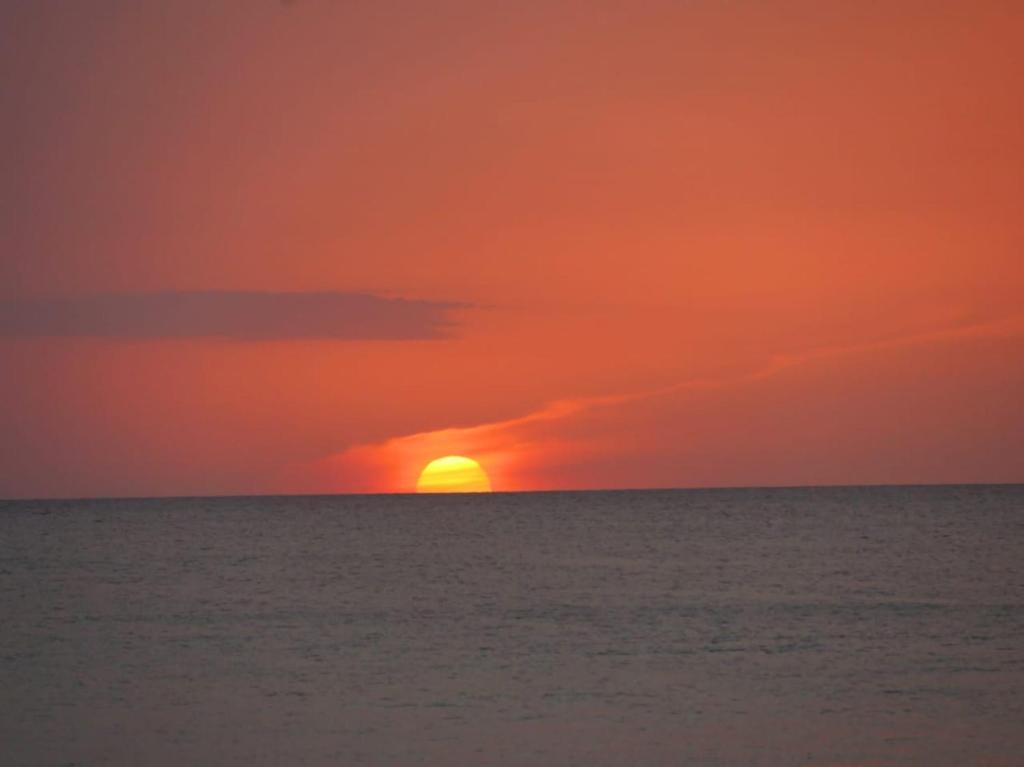 Нилавели: Vitamin sea beach hostel