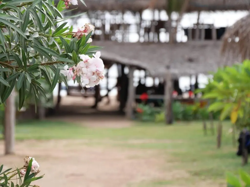 Нилавели: Vitamin sea beach hostel