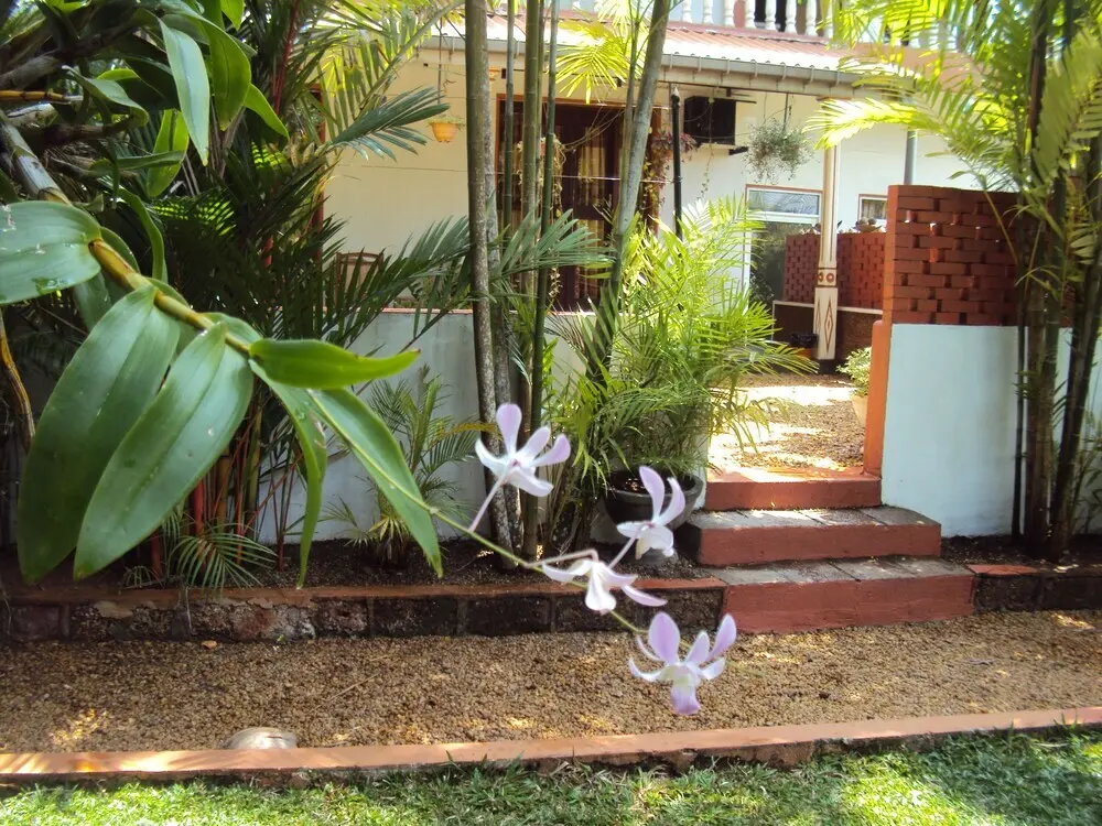 Берувела: "angel Villa - Exotic Holidays in Private Villa Near Beach"