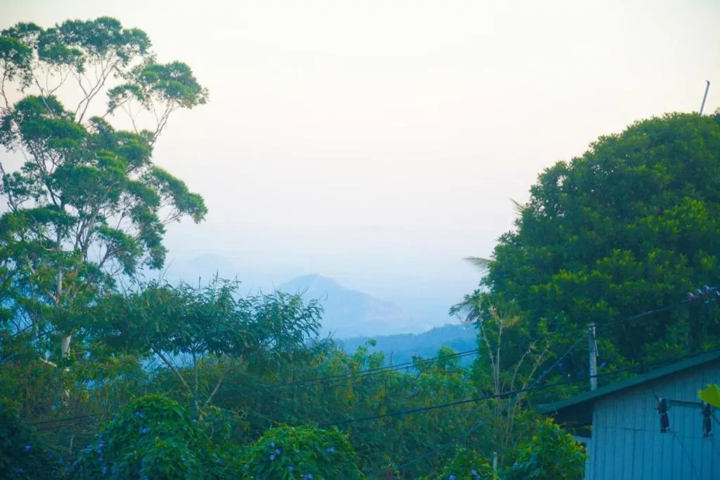 Элла: Soorya Guest Inn Ella
