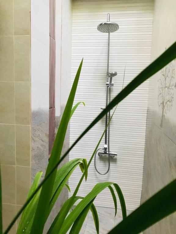 Хиккадува: blue water family hikkaduwa