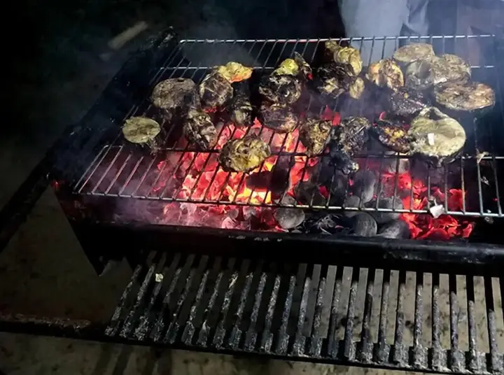 Палатупана: Yala Ravana AC Luxury Tented Safari Camp