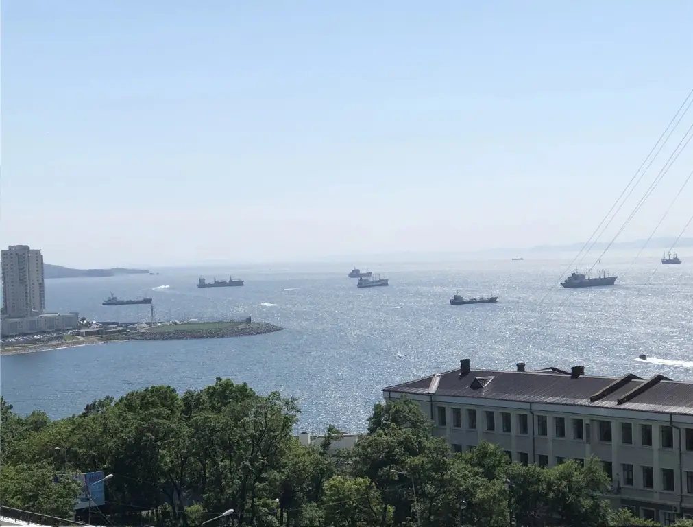 Владивосток: Апартаменты Central Bay Studios Near the Station