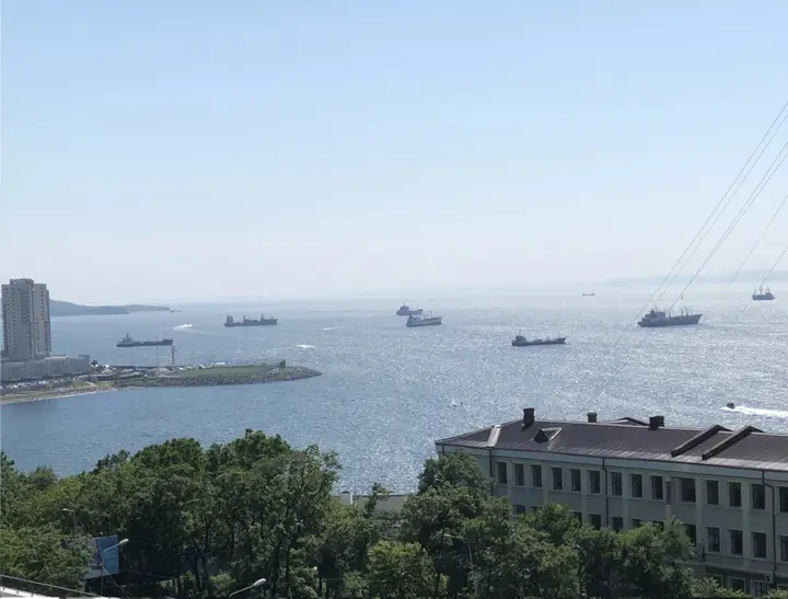 Владивосток: Апартаменты Central Bay Studios Near the Station