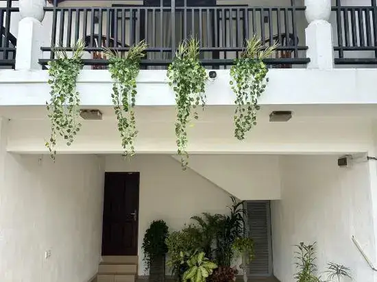 Котикаватта: Casa Theo