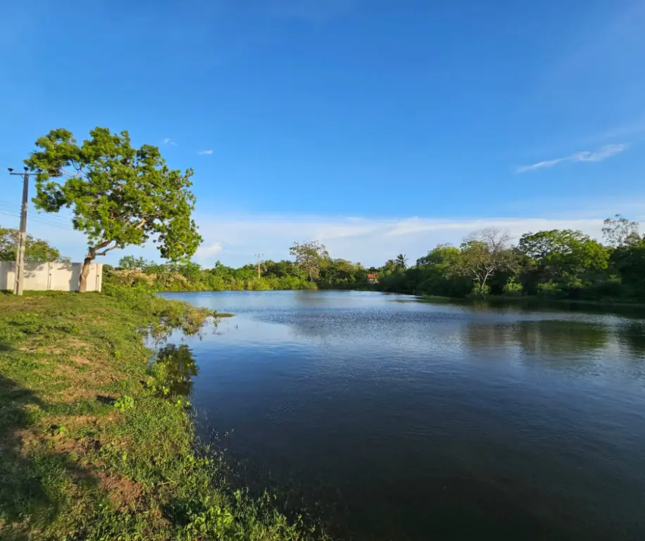 Хунгама: Вилла Bungalow Grand Villa Kalametiya