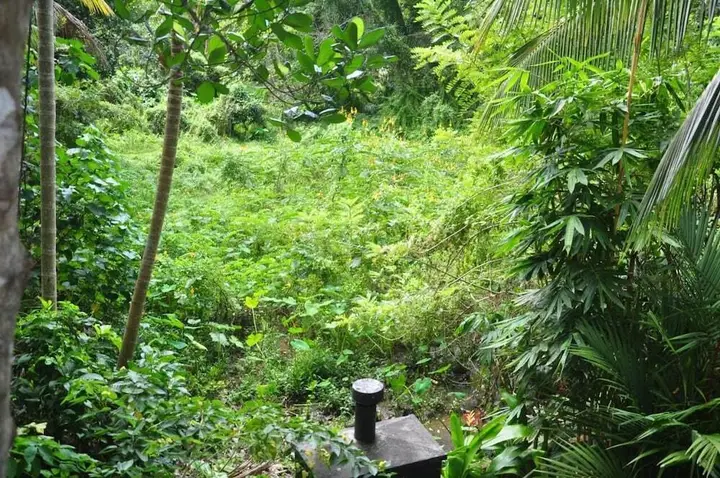 Индурува: Jungle Fence