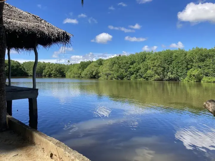 Мараколлия: coconut island cabanas