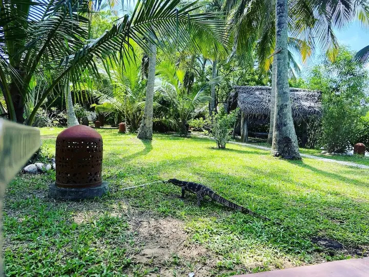 Мараколлия: coconut island cabanas