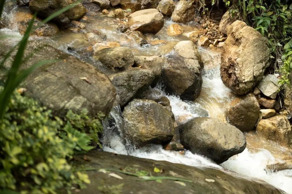 Гинигатена: Курортный отель Arsulana Eco Lodge & Ayurveda Spa