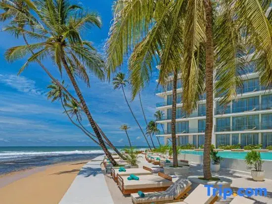 Тальпе: Radisson Collection Resort