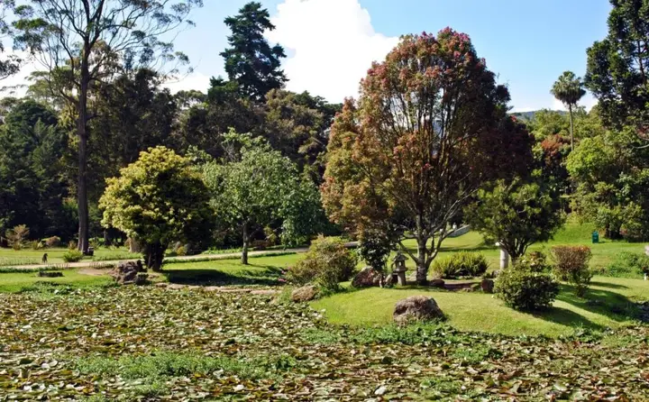 Нувара-Элия: Guest at Nuwara Eliya