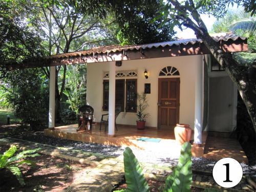 Негомбо: Mango House Japanese Guest House