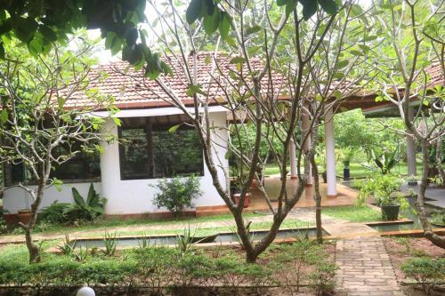 Негомбо: Mango House Japanese Guest House