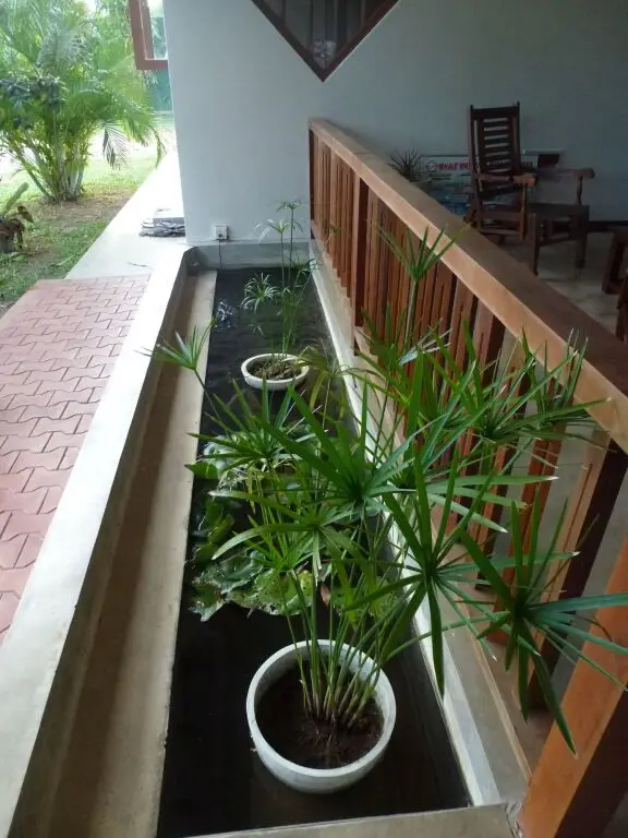 Велигама: South House-Weligama