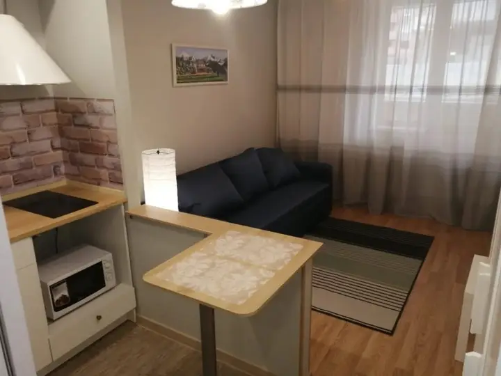 Владимир: Апартаменты Comfortable Studio Vladimir