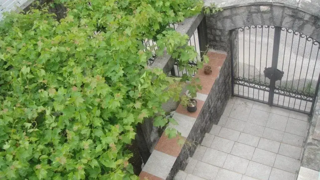 Будва: Guest House Energy for Life