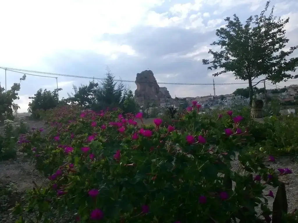 Ургуп: Kapadokya Karşı Bağ Camping