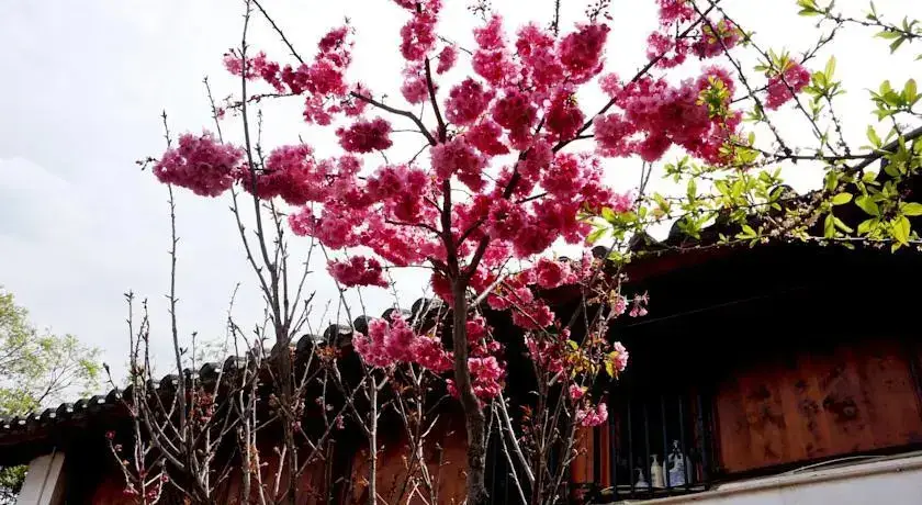 Lijiang Happy Inn — фото 1