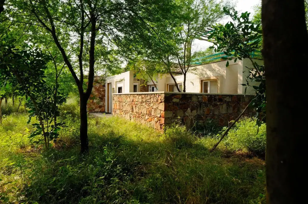 Алвар: Trees N Tiger Sariska