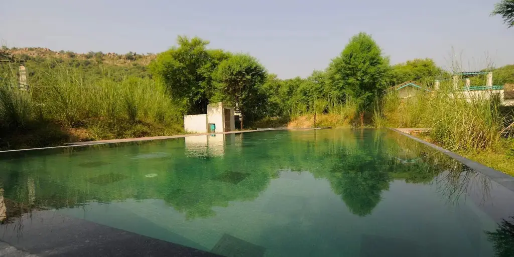 Алвар: Trees N Tiger Sariska