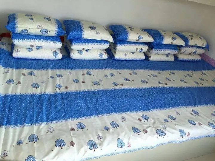 Харбин: Snow Valley Hostel Wuchang