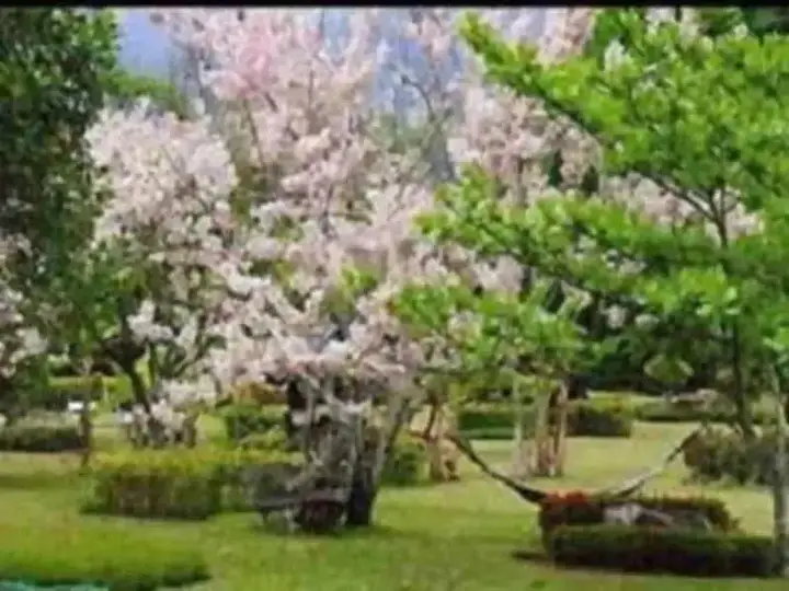 Паи: Muang Pai Resort